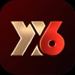 YY6 App